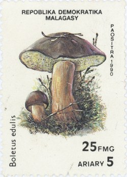 Boletus edulis: 25-Franc (5-Ariary) Postage Stamp