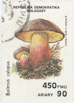 Boletus calopus: 450-Franc (90-Ariary) Postage Stamp