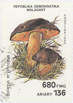 Boletus erythropus: 680-Franc (136-Ariary) Postage Stamp