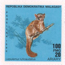 Lepilemur ruficaudatus: 100-Franc (20-Ariary) Postage Stamp