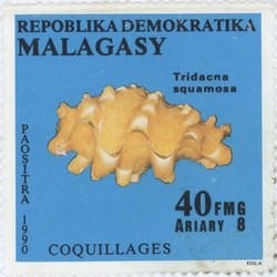 Shells: Tridacna squamosa: 40-Franc (8-Ariary) Postage Stamp