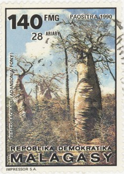 Adansonia fony Baobabs: 140-Franc (28-Ariary) Postage Stamp