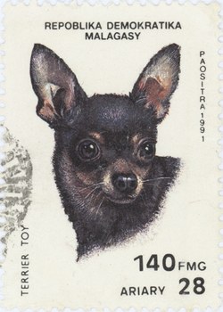 English Toy Terrier: 140-Franc (28-Ariary) Postage Stamp