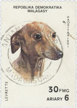 Greyhound: 30-Franc (6-Ariary) Postage Stamp