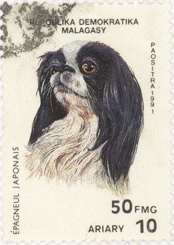 Japanese Chin: 50-Franc (10-Ariary) Postage Stamp