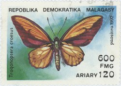 Trogonoptera croesus: 600-Franc (120-Ariary) Postage Stamp
