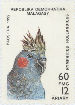 Nymphicus hollandicus: 60-Franc (12-Ariary) Postage Stamp