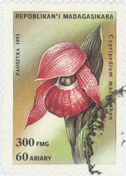 Cypripedium macranthos: 300-Franc (60-Ariary) Postage Stamp