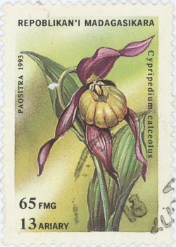 Cypripedium calceolus: 65-Franc (13-Ariary) Postage Stamp