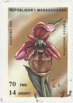 Ophrys oestrifera: 70-Franc (14-Ariary) Postage Stamp