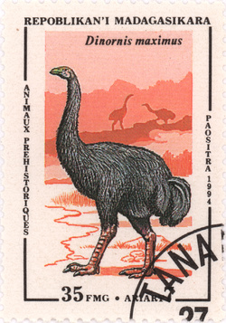 Prehistoric Animals: Dinornis maximus: 35-Franc (7-Ariary) Postage Stamp