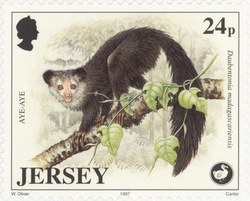 Aye-Aye, Daubentonia madagascariensis: 24-Pence Postage Stamp