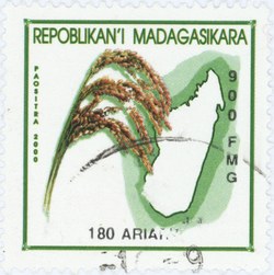 Rice and Madagascar: 900-Franc (180-Ariary) Postage Stamp