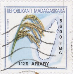 Rice and Madagascar: 5,600-Franc (1,120-Ariary) Postage Stamp