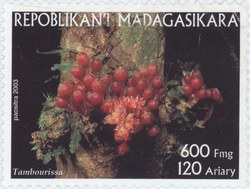 Tambourissa: 600-Franc (120-Ariary) Postage Stamp