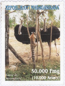 Mahajanga Fauna: 50,000-Franc (10,000-Ariary) Postage Stamp