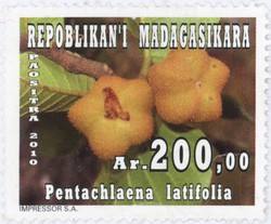 Pentachlaena latifolia: 200-Ariary Postage Stamp