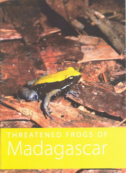 Threatened Frogs of Madagascar