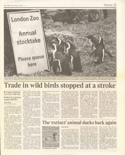 The 'extinct' animal ducks back again: The Times, Friday January 12 2007