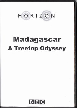 Madagascar: A Treetop Odyssey