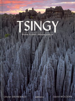 Tsingy: Stone Forest – Madagascar