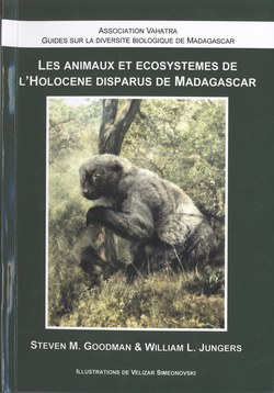 Les animaux et écosystèmes de l'Holocène disparus de Madagascar