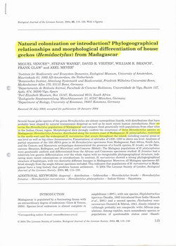 Natural Colonization or Introduction? Phylogeographical Relationships and Morphological Differentiation of House Geckos (Hemidactylus) from Madagascar