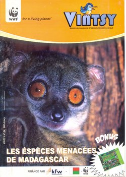 Vintsy: Bimestriel Malgache d'Orientation Ecologique: No. 64: Les Espèces Menacées de Madagascar