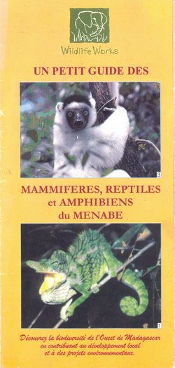 Un Petit Guide des Mammifères, Reptiles et Amphibiens du Menabe