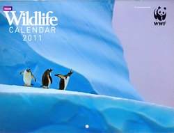 BBC Wildlife Calendar 2011