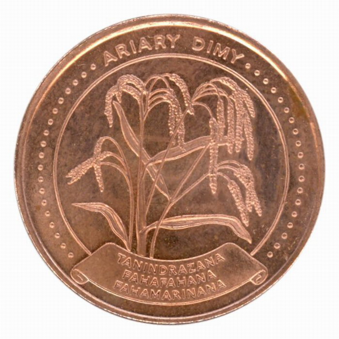 5 Ariary Coin 25 Malagasy Francs Madagascar Library 5-ariary-coin-25-malagasy-francs-madagascar-library