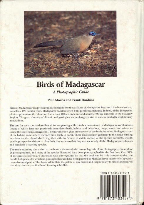 birds from madagascar